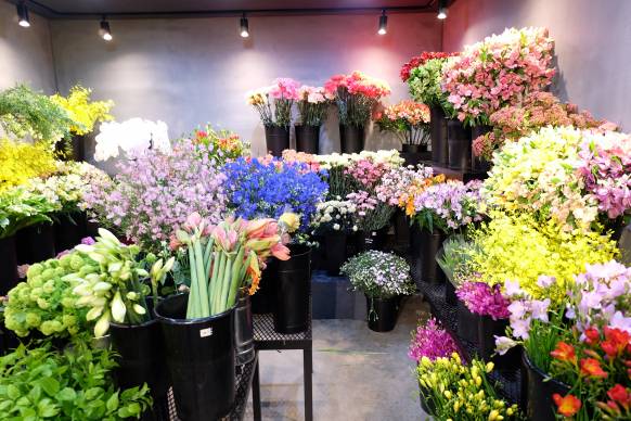 「深山園芸」　（千葉県千葉市中央区）の花屋店舗写真2